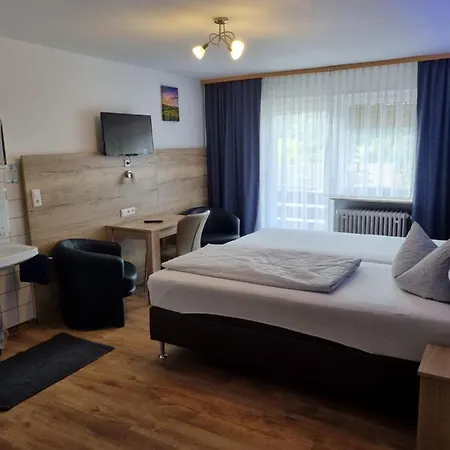 酒店 兰德恩格尔酒店 3*